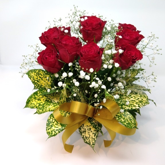 rosegarden-red rosegarden-red